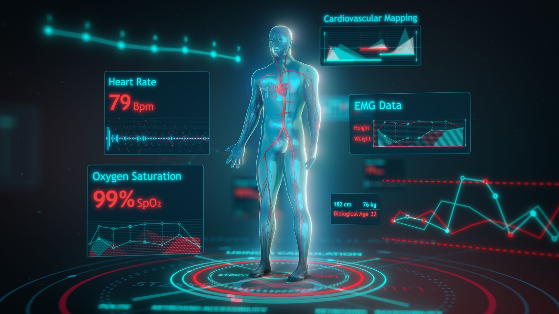 Futuristic Human Health Monitoring Interface with Cardiovascular and EMG Data Visualization